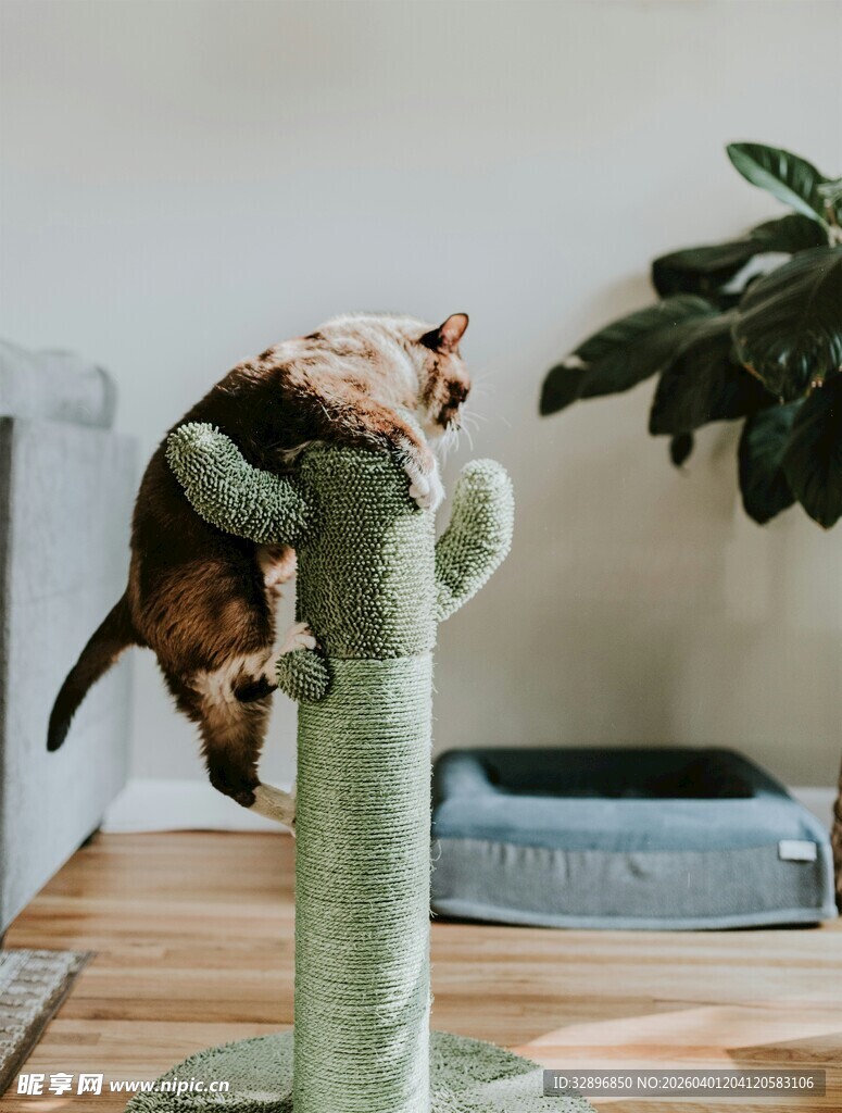 猫咪攀爬绿色仙人掌摆件