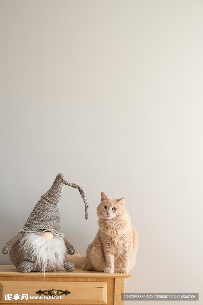两只猫咪坐于木柜上