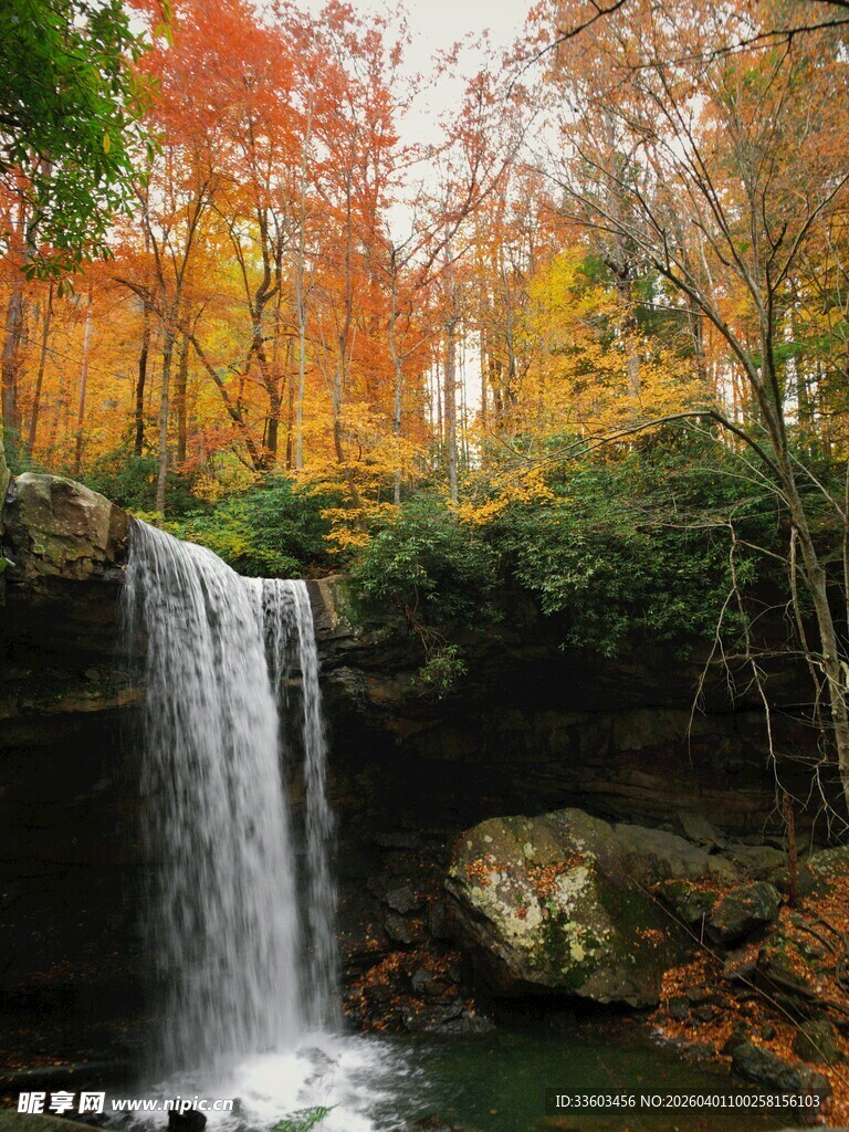 秋日山林中的美丽瀑布