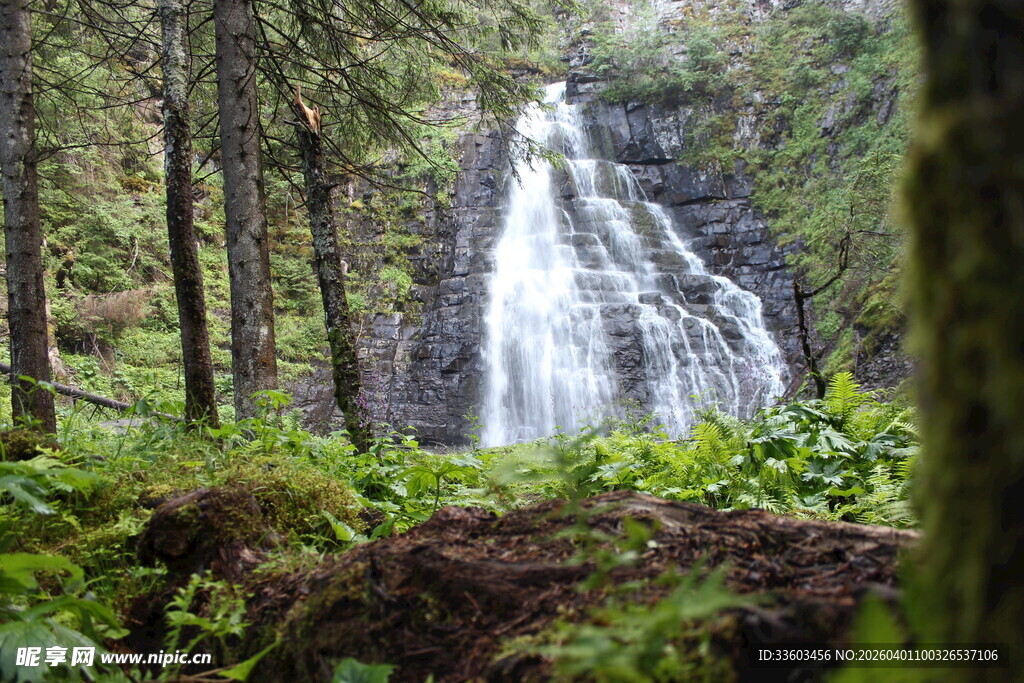 森林中的壮丽瀑布景观