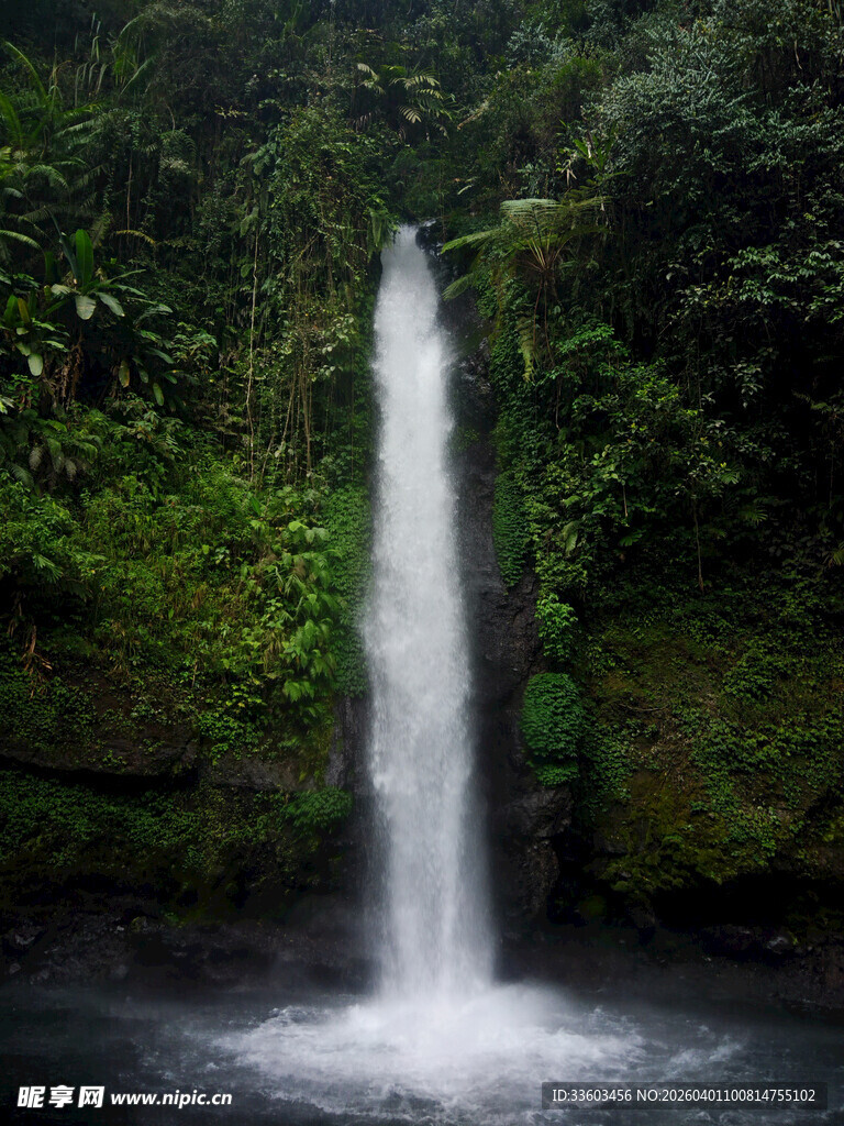 雨林中的壮丽瀑布景观