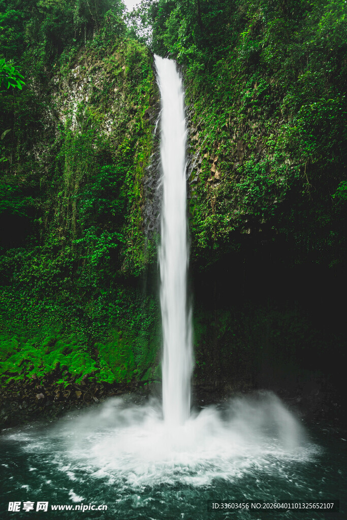 森林中的壮观瀑布景观