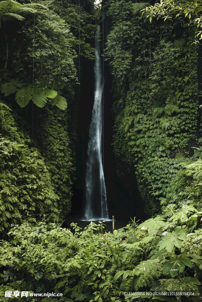 森林中的静谧瀑布景观