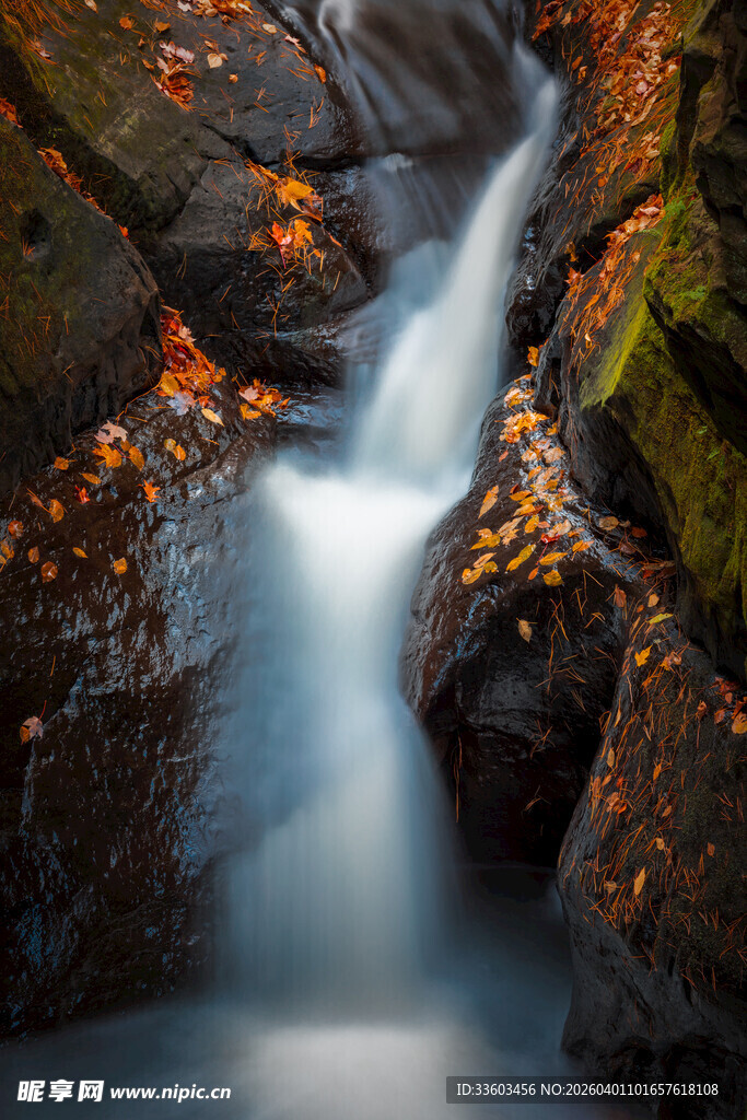 山间溪流秋叶潺潺而下