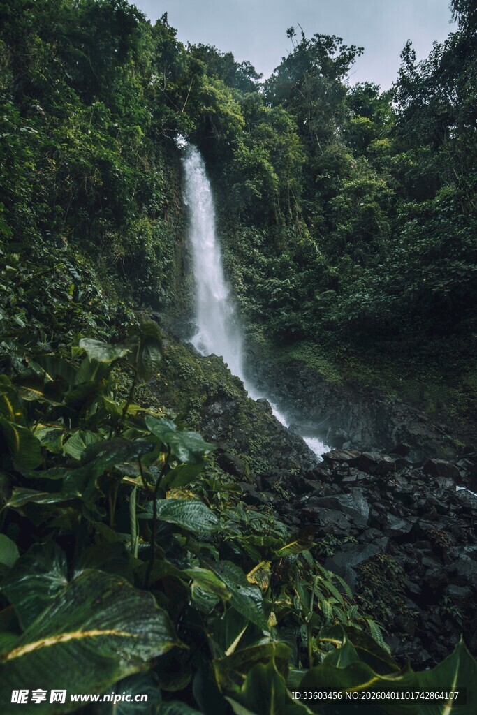 雨林中的壮观瀑布景象