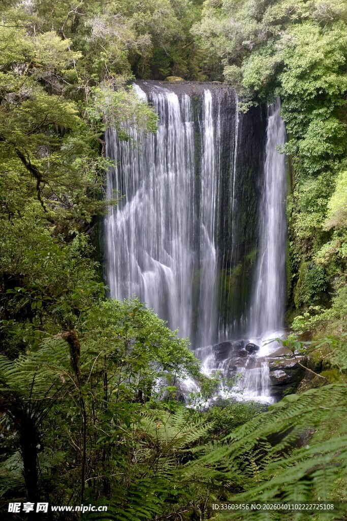 森林中的壮观瀑布景观