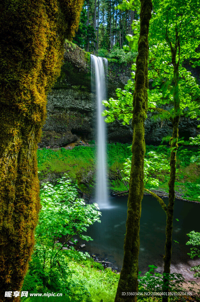 森林中的美丽瀑布景观
