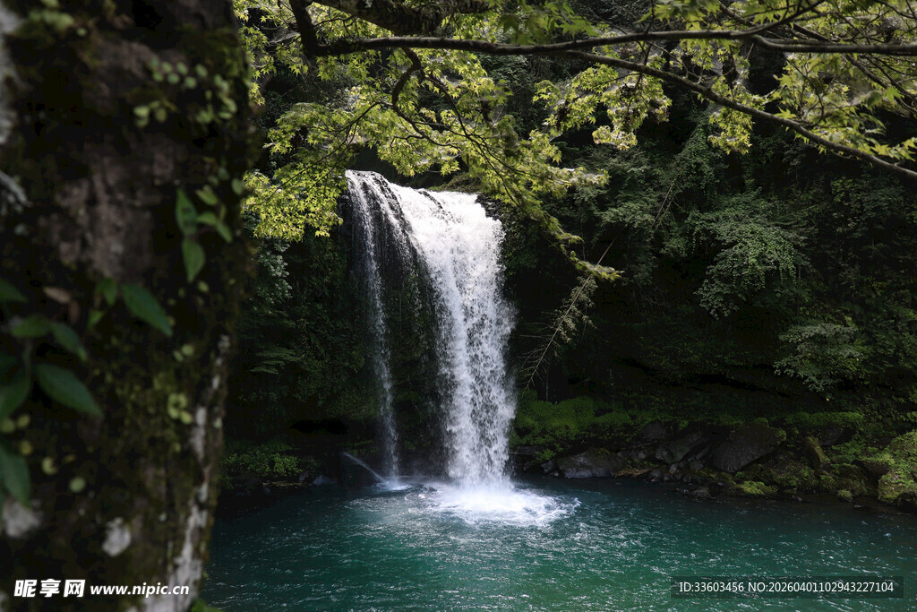 山间瀑布下的碧绿潭水