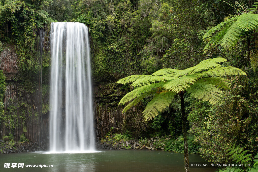 雨林中的美丽瀑布景观