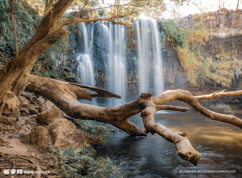 森林中的壮美瀑布景观