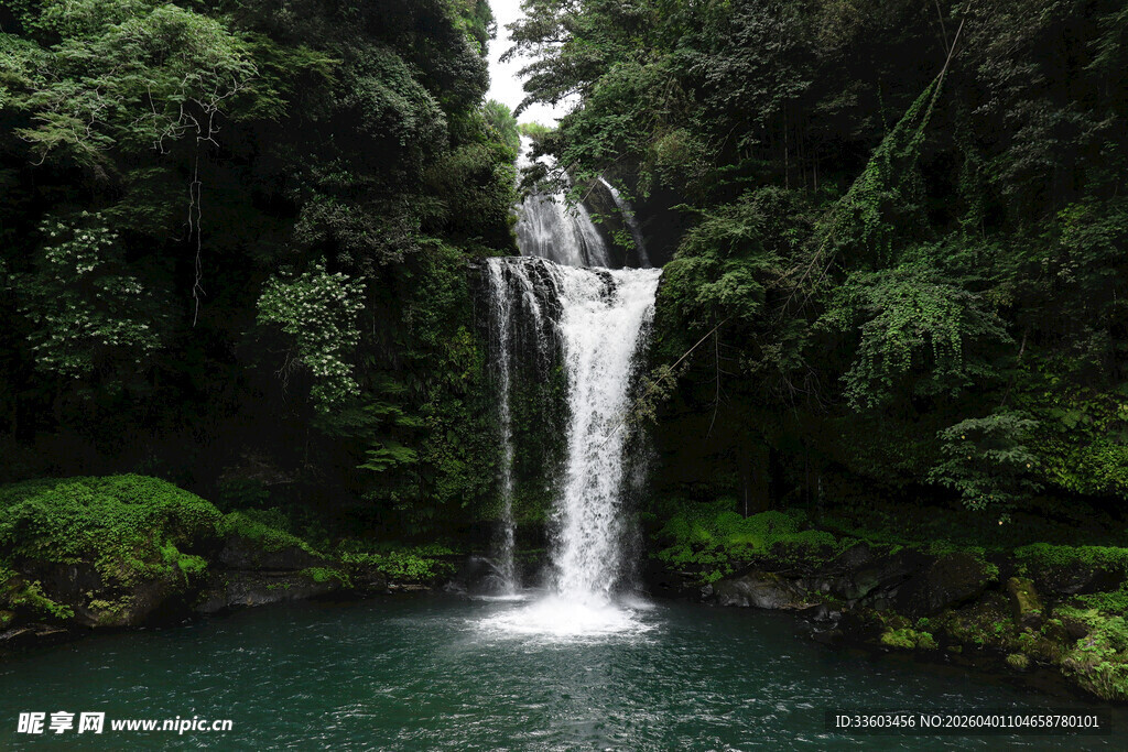 雨林中的壮丽瀑布景观