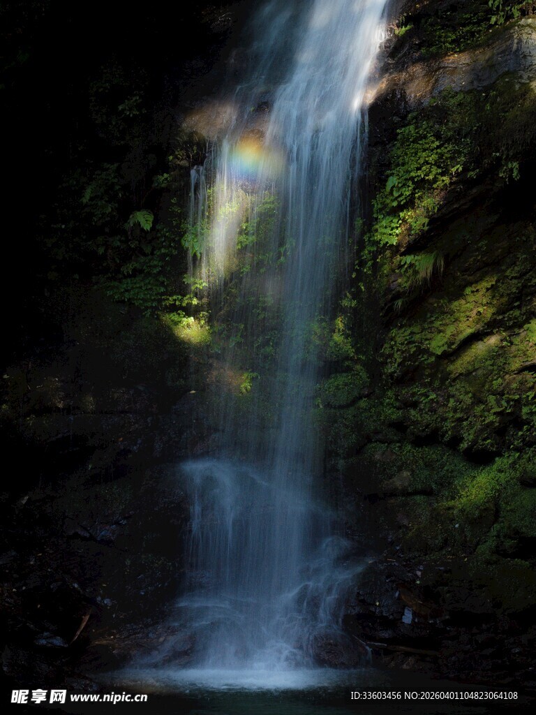 森林中的梦幻瀑布
