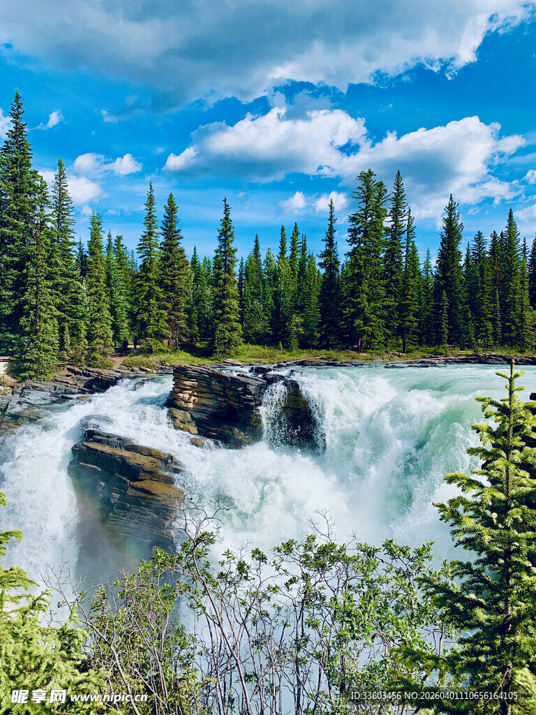 壮丽森林瀑布景观