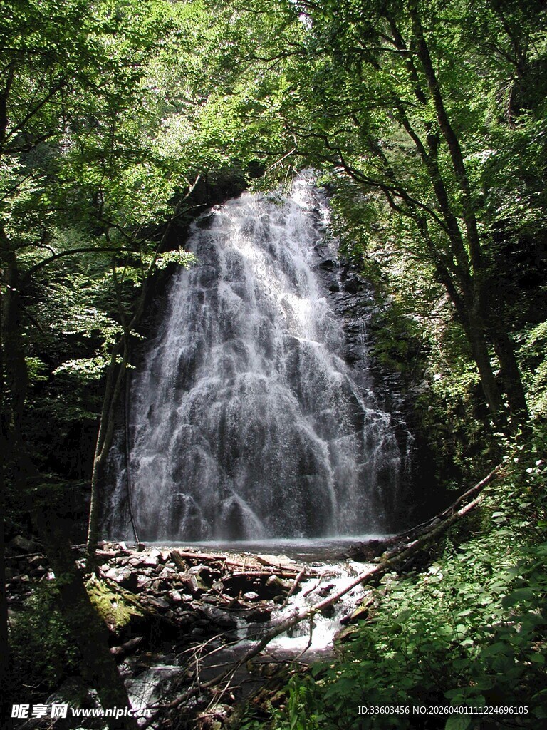 森林中的美丽瀑布景观
