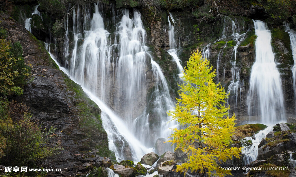 瀑布旁的金黄树木景观