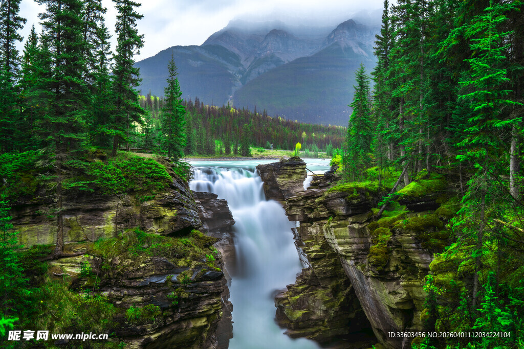 山间溪流穿林而过的美景