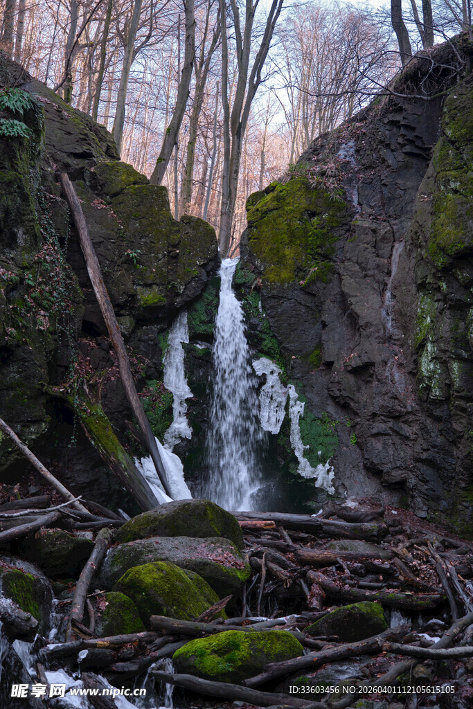 山间小瀑布与枯木苔藓景观