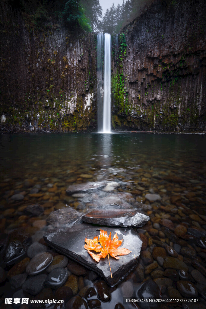 瀑布下的心形石与秋叶