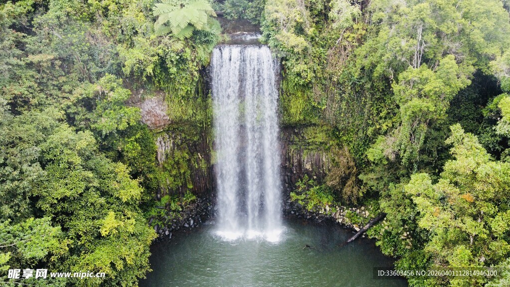 雨林中的壮观瀑布景观
