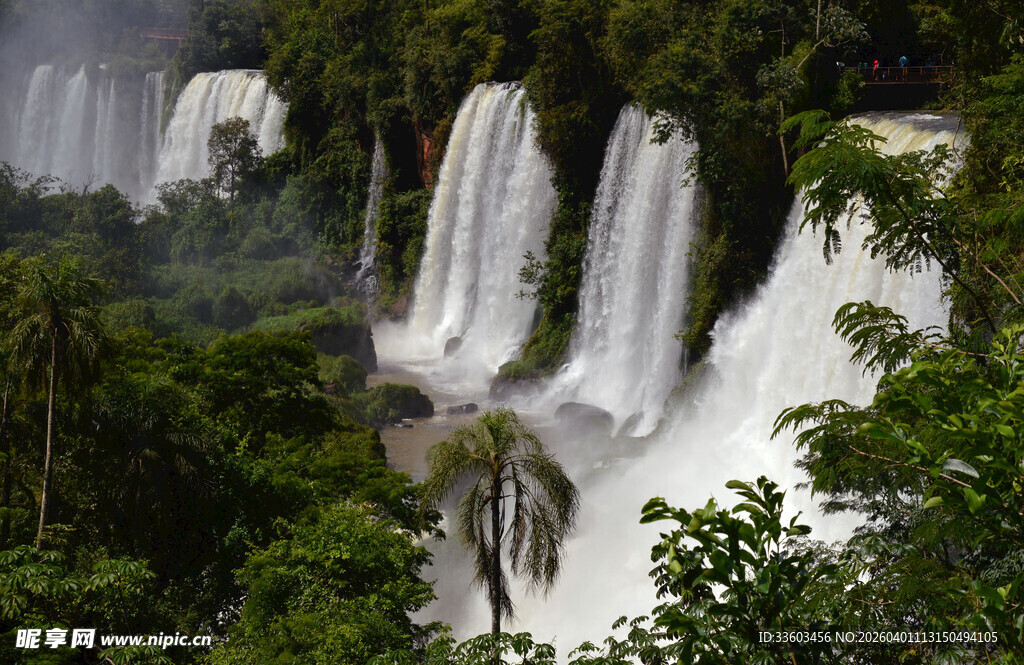 壮观的雨林瀑布景观
