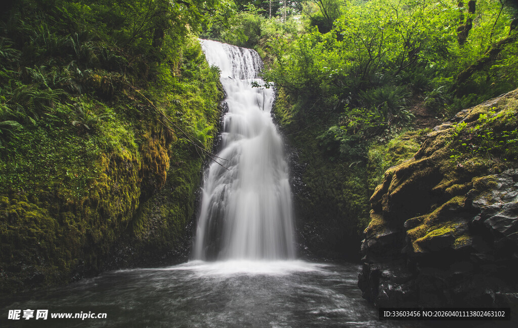 森林中的美丽瀑布景观