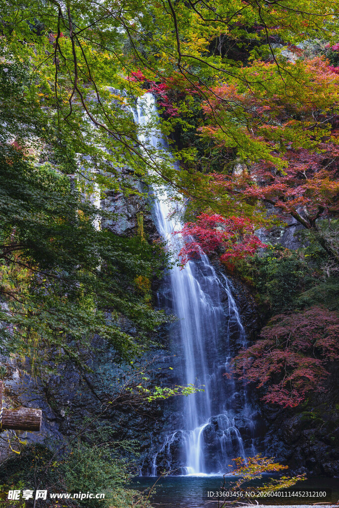 秋日山林中的秀丽瀑布