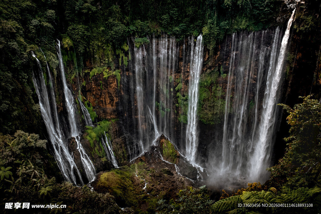 森林中的壮丽瀑布景观