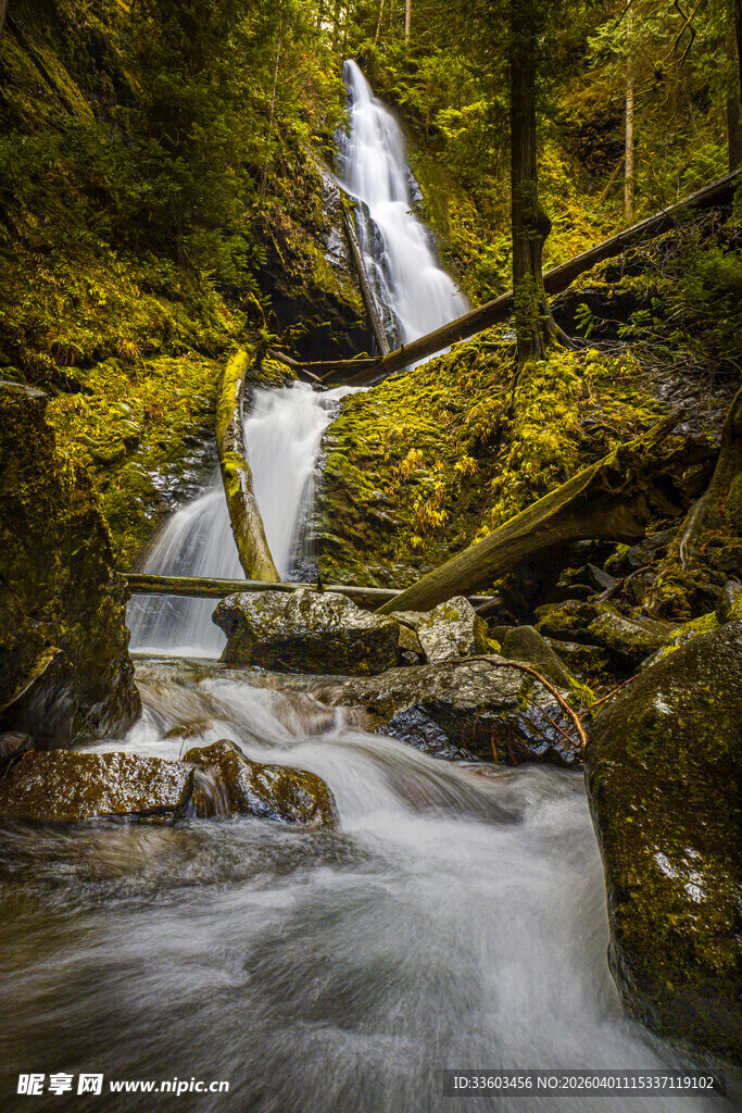 森林中的潺潺溪流瀑布