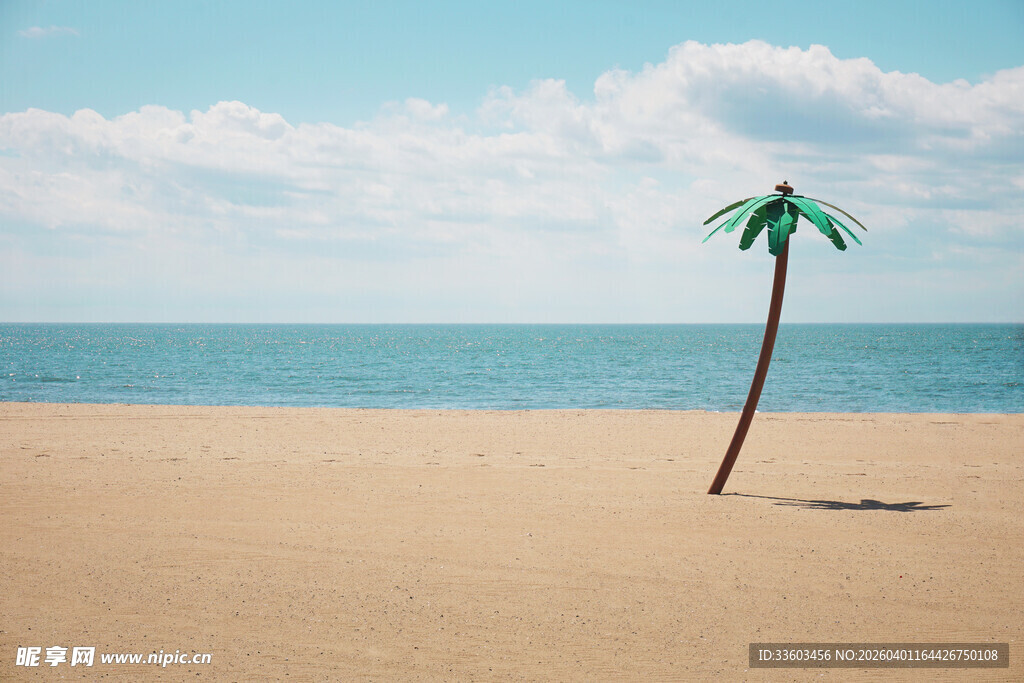 沙滩上的孤独棕榈树
