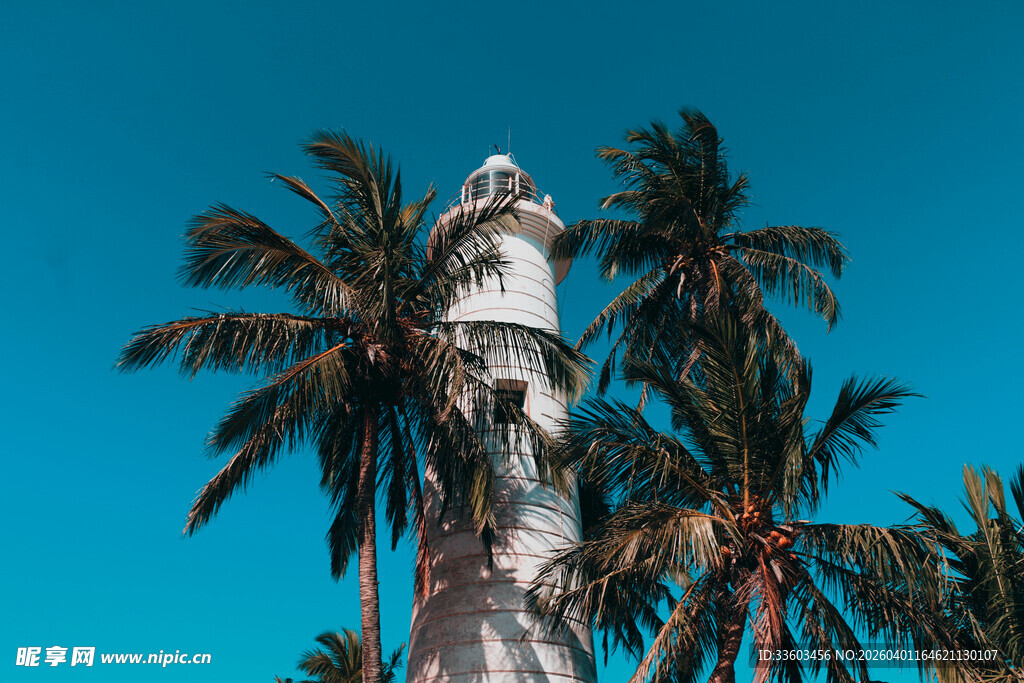 椰林中的白色灯塔