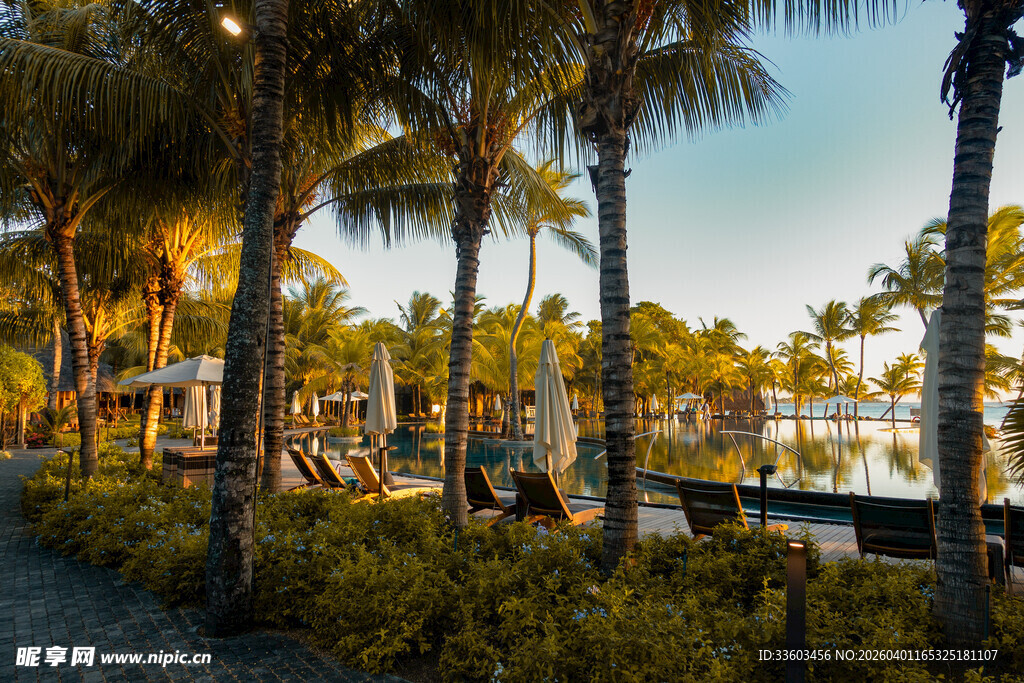 海滨椰林畔的惬意休闲地