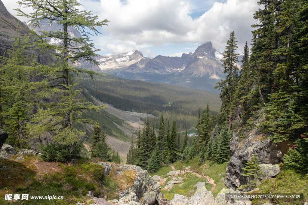 山间森林与远处巍峨山脉