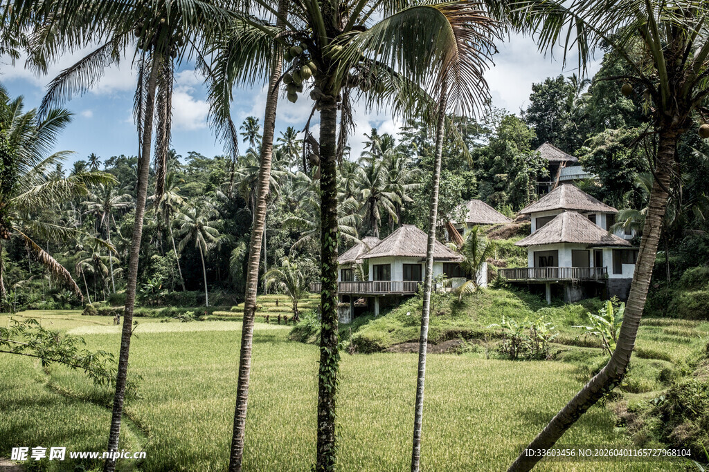 热带风光中的别致小屋