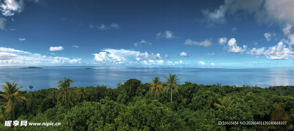 俯瞰葱郁森林与蔚蓝天空