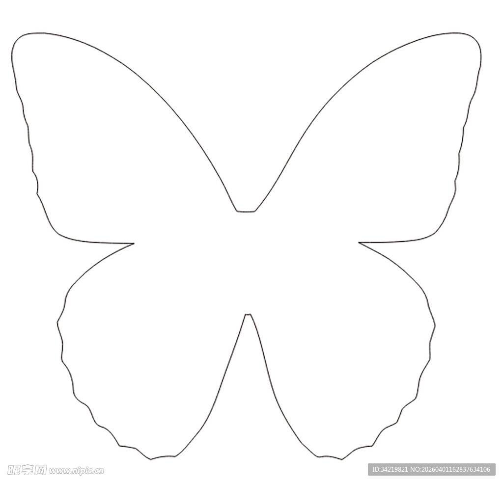 简约蝴蝶轮廓图案