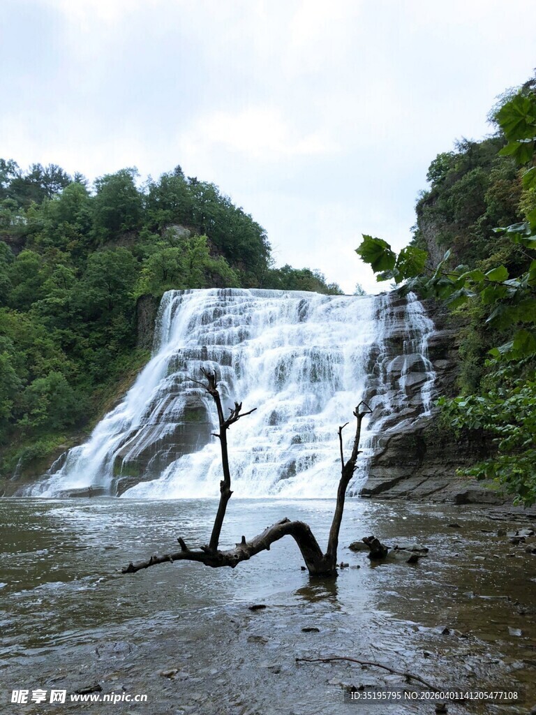 山间瀑布下的枯木景观