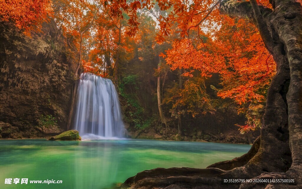 秋日枫林中的碧绿瀑布