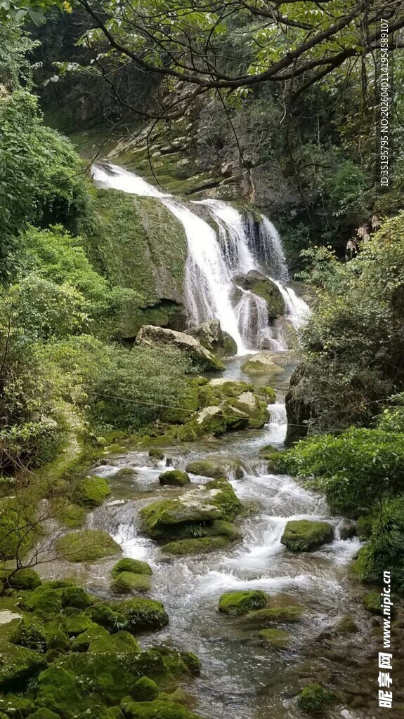 山间瀑布绿意盎然的景致