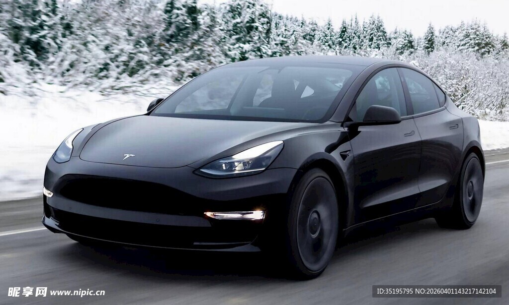 雪地中的黑色特斯拉