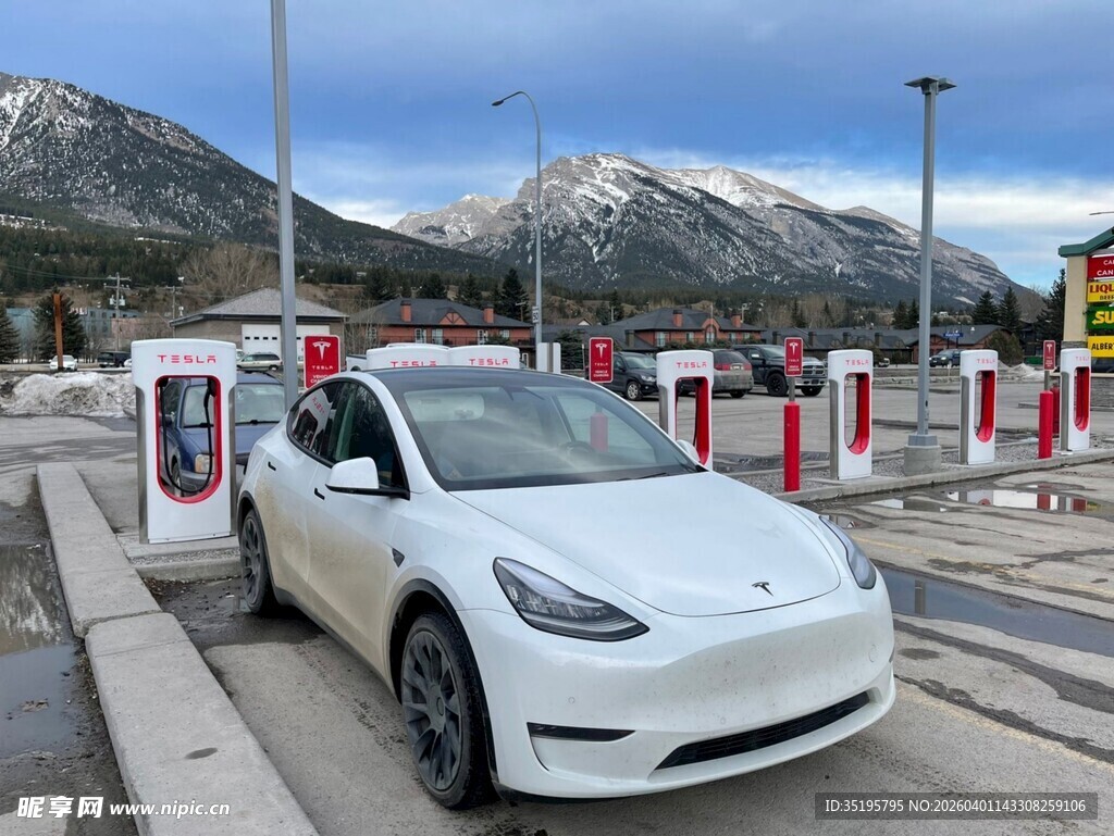 停车场中的白色特斯拉电动车