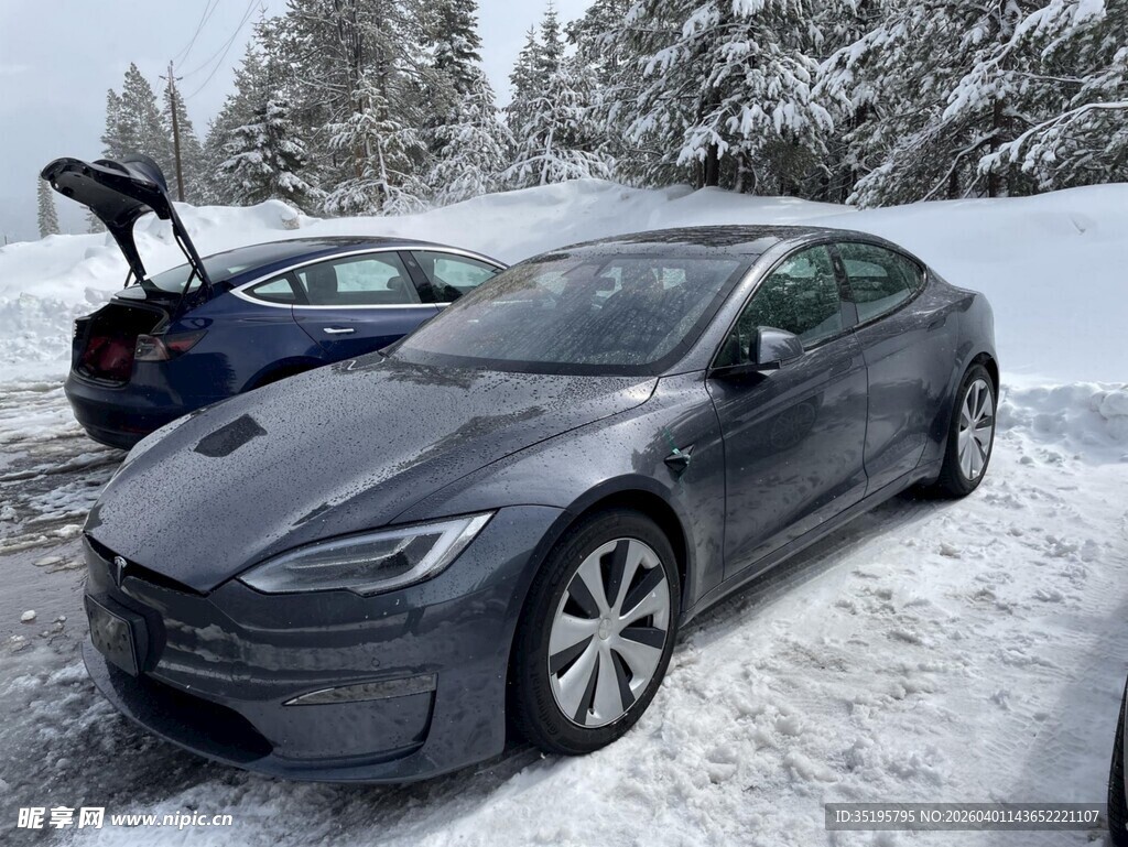 雪地中的特斯拉汽车