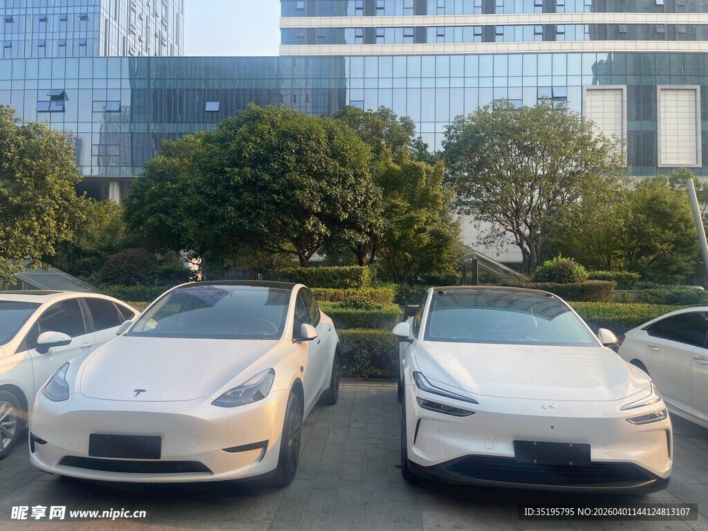 停车场中的几辆白色特斯拉
