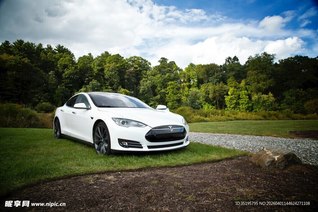 白色特斯拉停于绿意风景中