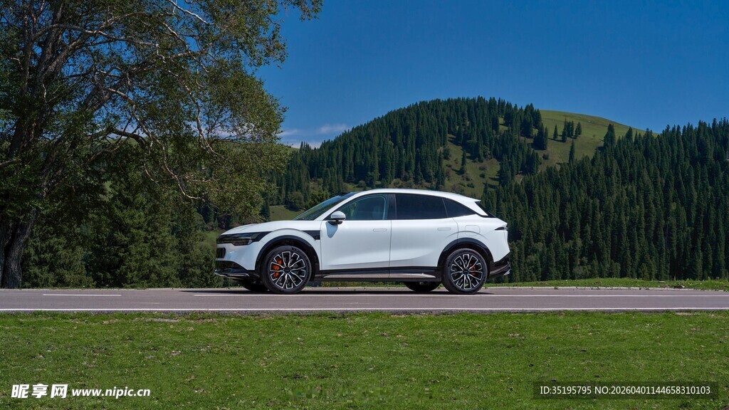 公路旁的白色SUV