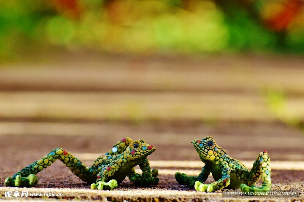 多彩青蛙于木上的生动瞬间