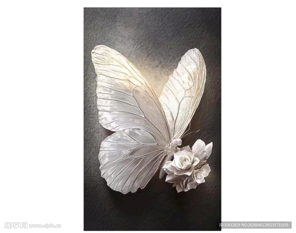 银白蝴蝶特写 装饰