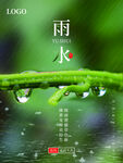 雨水时节枝头晶莹雨珠景