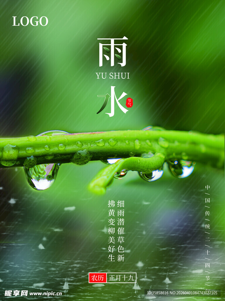 雨水时节枝头晶莹雨珠景