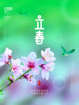 立春桃花飞鸟清新画面