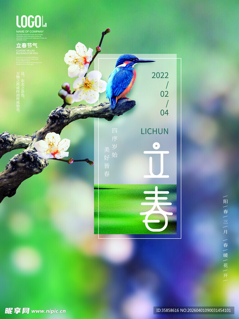 立春时节枝头蓝鸟赏梅